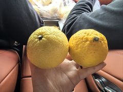-花岙岛