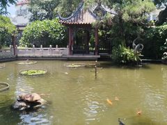 -碧江金楼