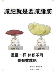 -Fundi张玉珊修身堂·indiba·BTL科技瘦身