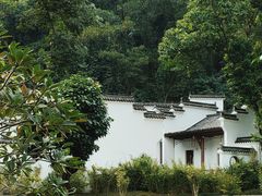 -深圳国际园林花卉博览园