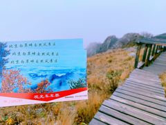 -白草畔自然风景区