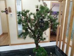 -芳朵美容养生SPA