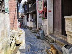-上甘棠村