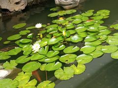 -上海方塔园