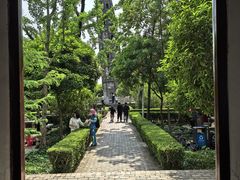 -上海佘山国家森林公园天马山园