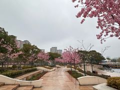 -新江湾城公园