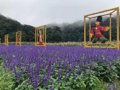 -广州市石门国家森林公园