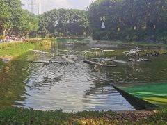 -广州长隆飞鸟乐园