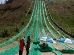 -古柏渡飞黄旅游区