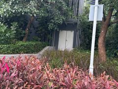 -清湖文化公园