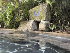 -腾冲洞山温泉村