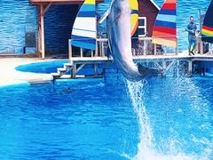 -海合安天津极地海洋公园