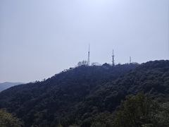 -灵顺寺