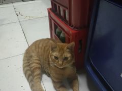 -老丘丘(较场口店)