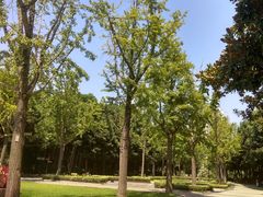 -苏州河梦清园环保主题公园