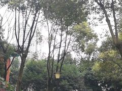 -重庆市江北嘴中央商务区中央公园