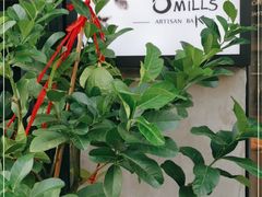 -O'mills Sourdough Bakery&Bistro(永嘉路店)