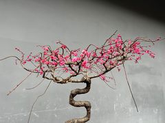 -成都杜甫草堂博物馆