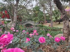 -人民公园(罗湖区)