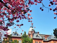 -北海道厅旧本厅舍(旧本庁舎)