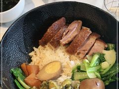 -MR鹅外