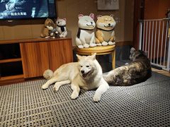 -大江户·温泉洗浴(浑南店)