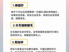 -心语宠物医院·急重症转诊中心·瑞辰华诺(南青路店)