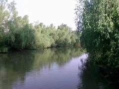 -大湾区中央湿地公园