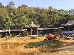 -广州市白云山风景名胜区