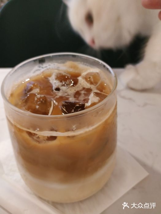 飞行喵MR PILOT|猫舍·猫咖(静安大融城店)图片