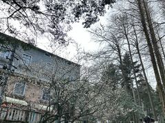 -莫干山风景区