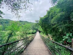 -南宁良凤江国家森林公园