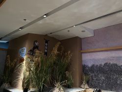-造物庄园 萌宠纪(苏州湾歌林公园店)