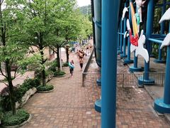 -重庆海昌加勒比海水世界