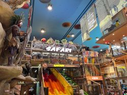 -卡通尼·Safari非洲探索乐园·生日会(金桥国际商业广场店)