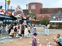 -烟台海昌鲸鲨海洋公园