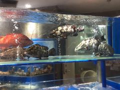 水产区-德米火锅(深圳湾1号旗舰店)