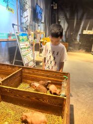 -酷嗒动物文化乐园(cutezoo西溪乐天城店)