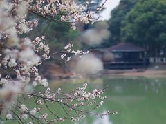 -宝岩生态观光园