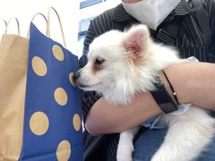 -怪兽屋·羊驼·猫咖·狗咖(俊华广场店)