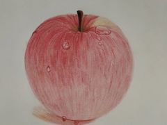 -东方童画少儿美术(莘庄体验馆)