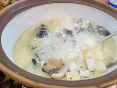 -鱼乐岛餐厅·户外花园主题餐厅