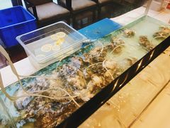 -东方广场假日酒店-蜀咖啡餐厅