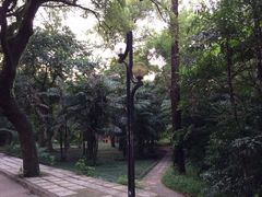 IMG_1716-中山大学学者灵芝(园南路店)