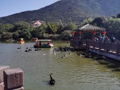 -无锡动物园·太湖欢乐园