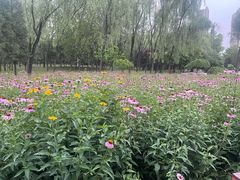 -森林公园(尖草坪区)