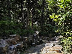 -和平公园