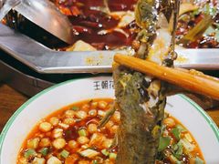 -王朝花椒鱼(杉板桥南一路店)