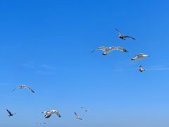 -海驴岛(荣成市)