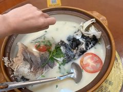 -全乐鱼馆·淳牌有机鱼直营店